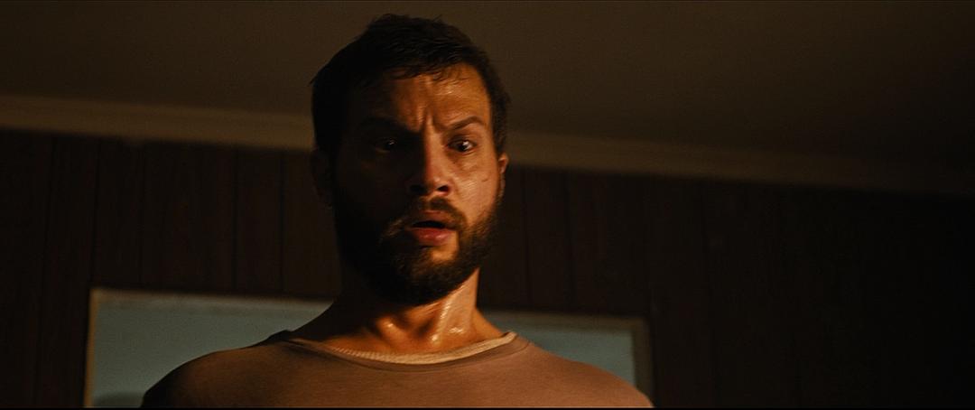 《升级》海报第15张图片