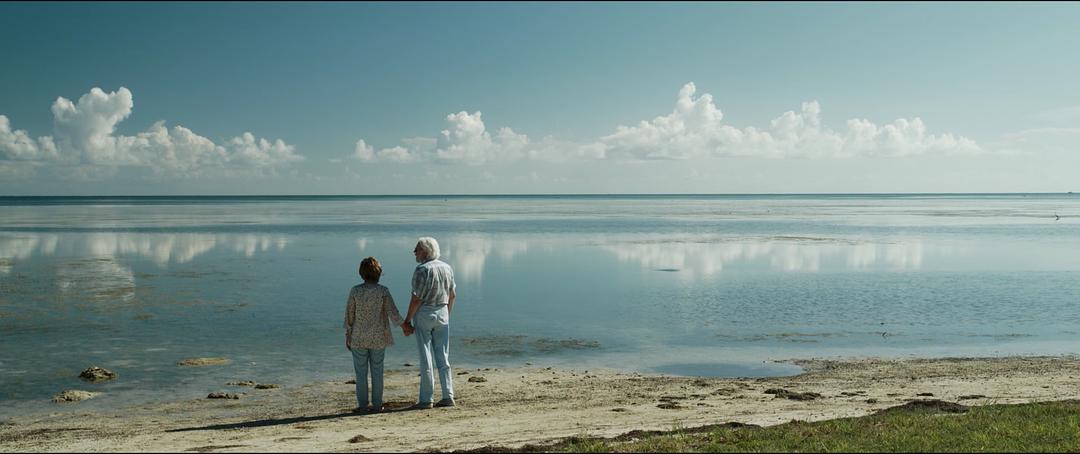 《爱在记忆消逝前》海报第34张图片