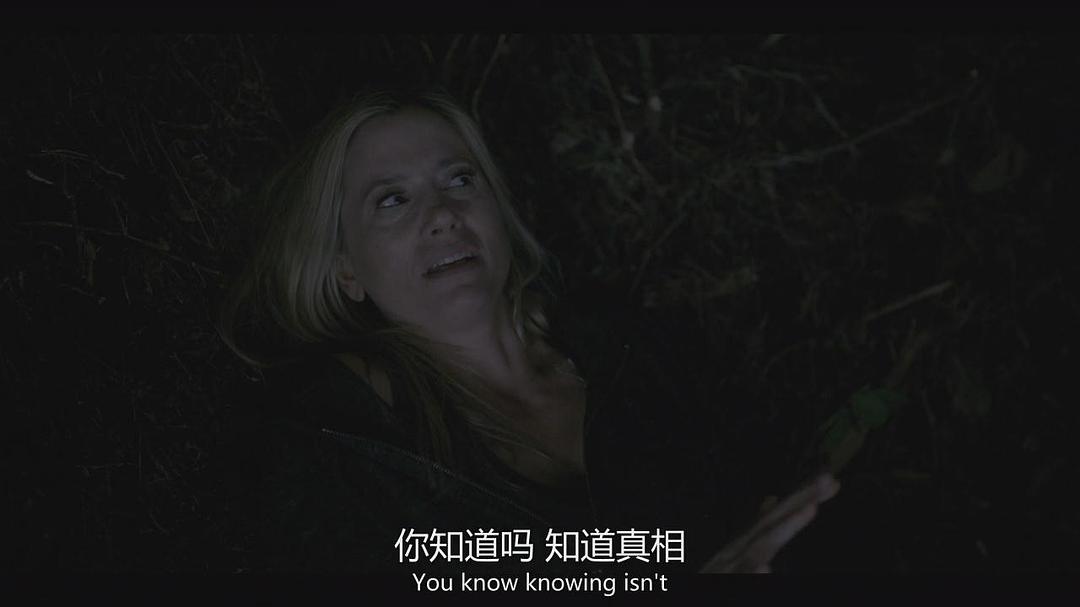 《秃鹰第一季》海报第45张图片