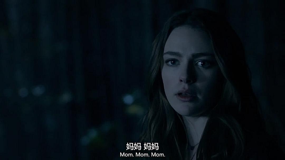 《初代吸血鬼第五季》海报第30张图片