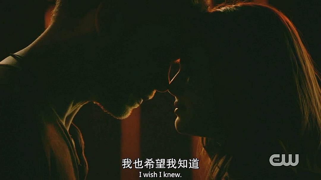 《初代吸血鬼第五季》海报第9张图片