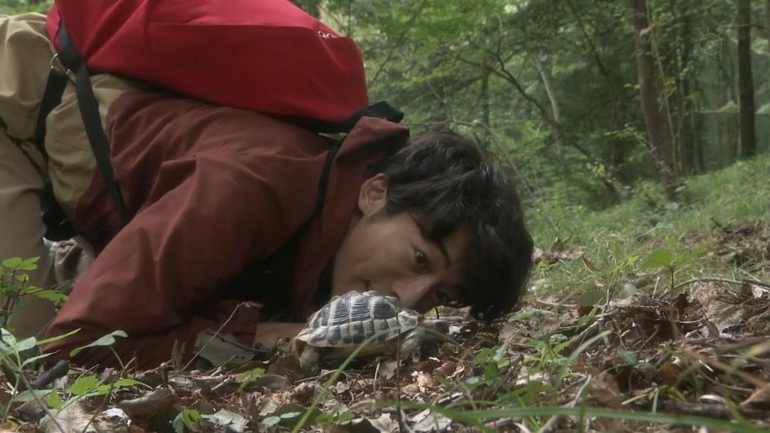 《我们由奇迹构成》海报第35张图片