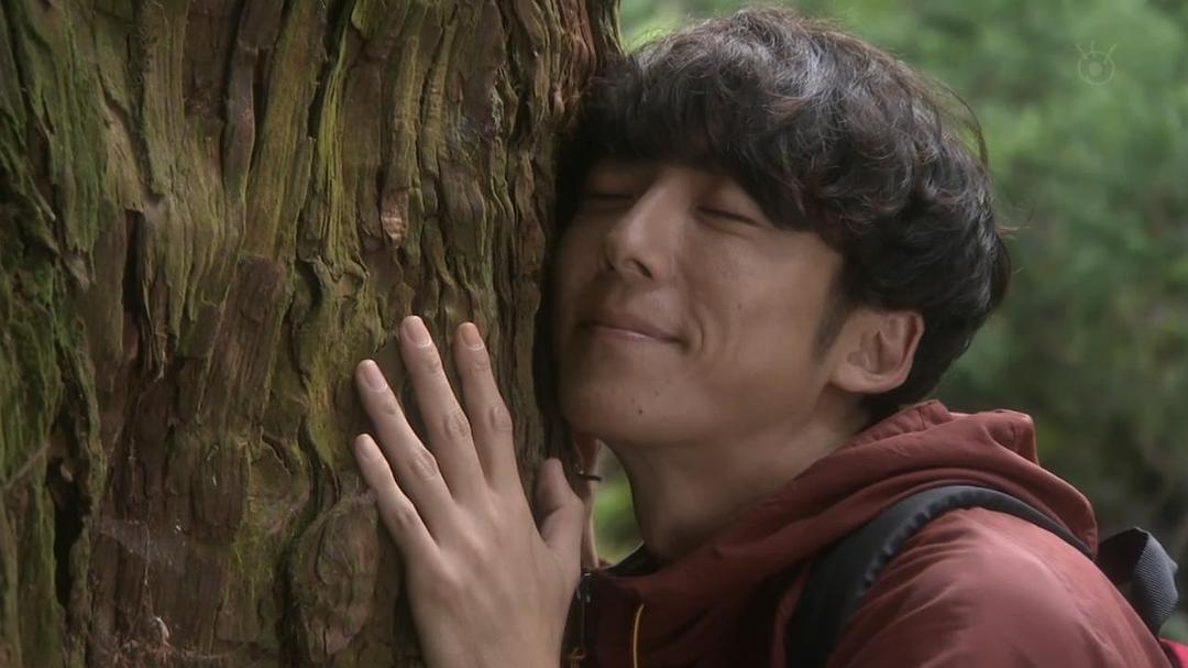 《我们由奇迹构成》海报第41张图片