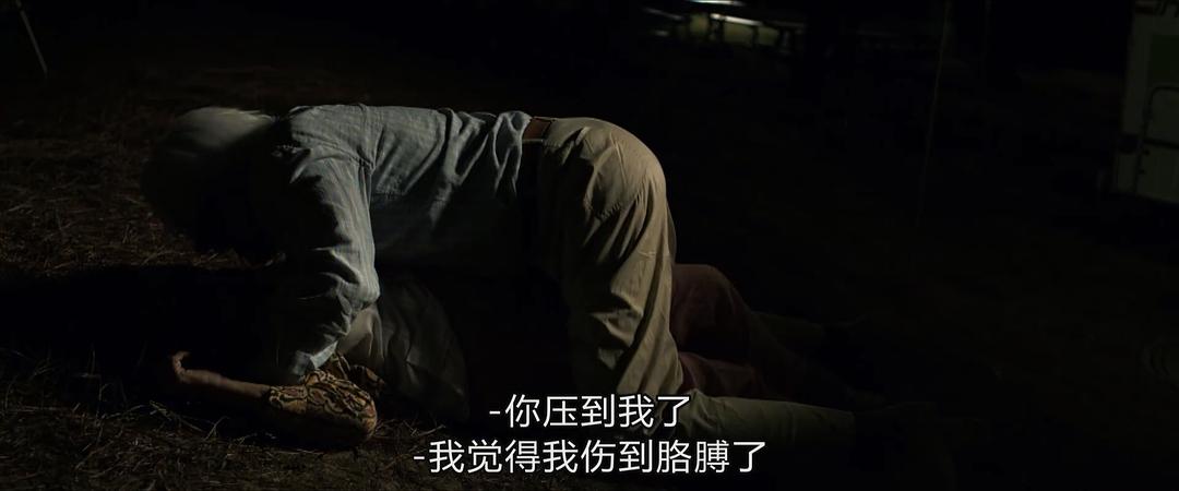 《爱在记忆消逝前》海报第54张图片