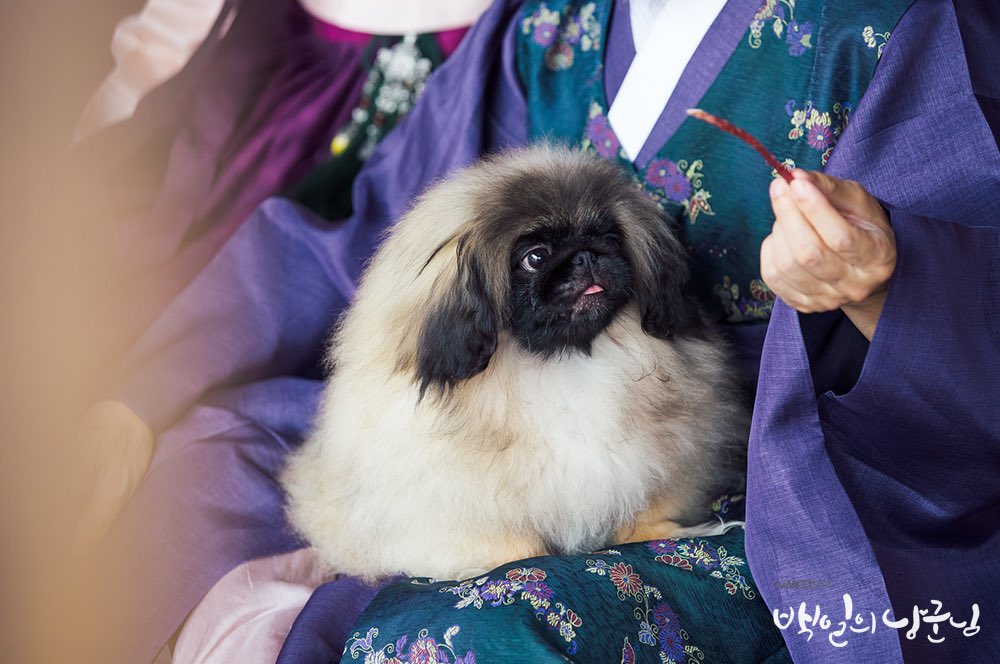 《百日的郎君》剧照