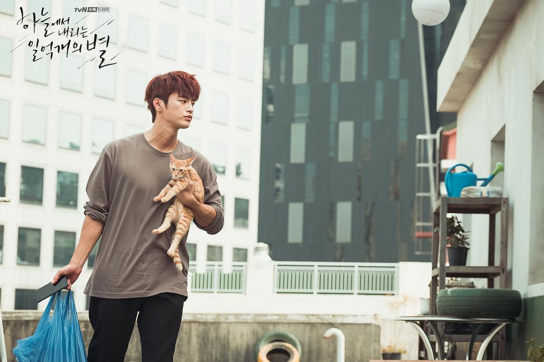 《从天而降的一亿颗星星》海报