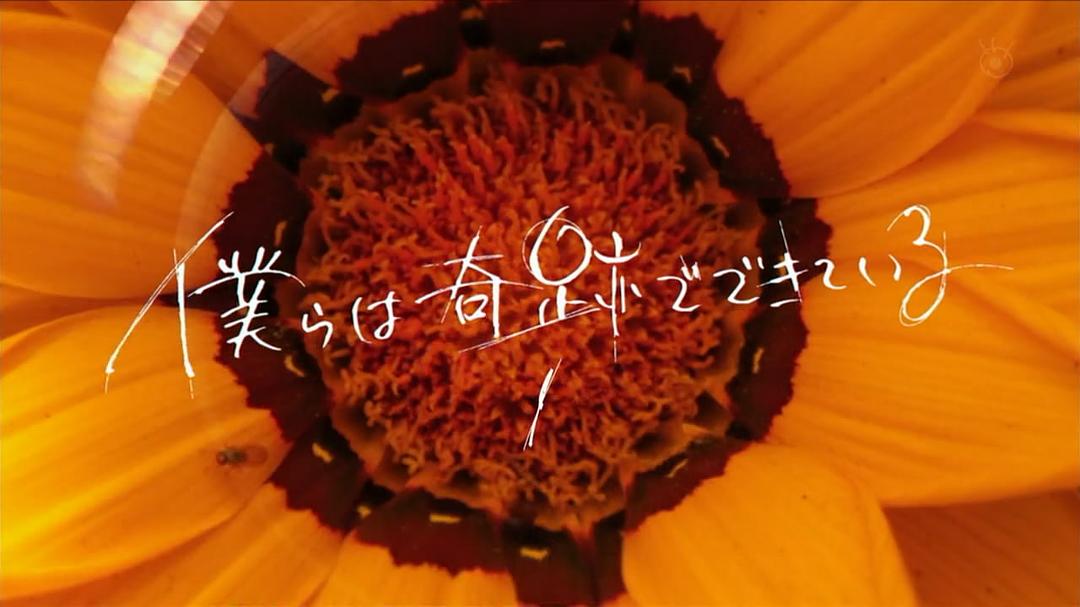 片头最后一幕-第一集