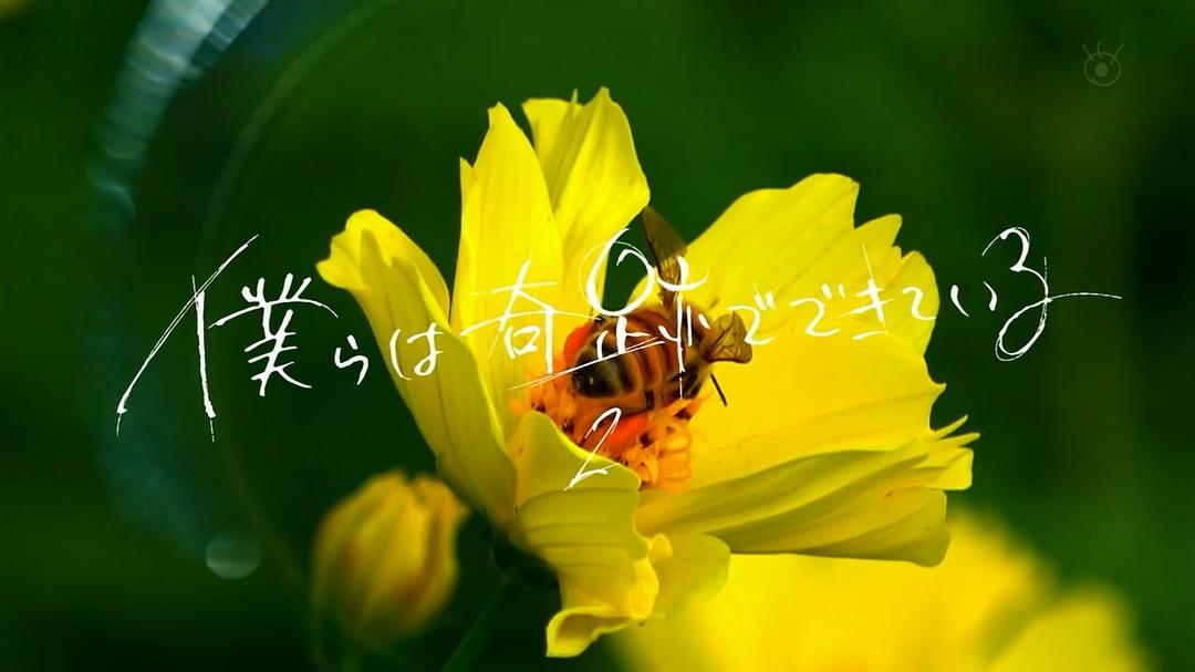 片头最后一幕-第二集