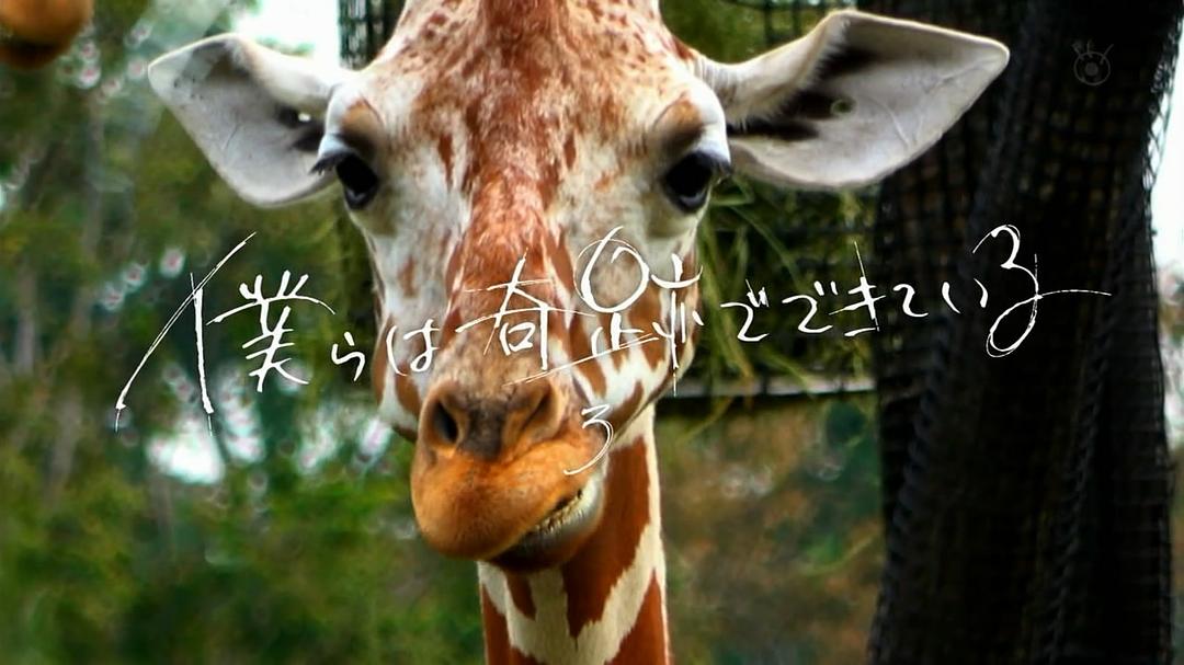 片头最后一幕-第三集