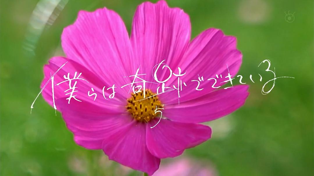 片头最后一幕-第五集