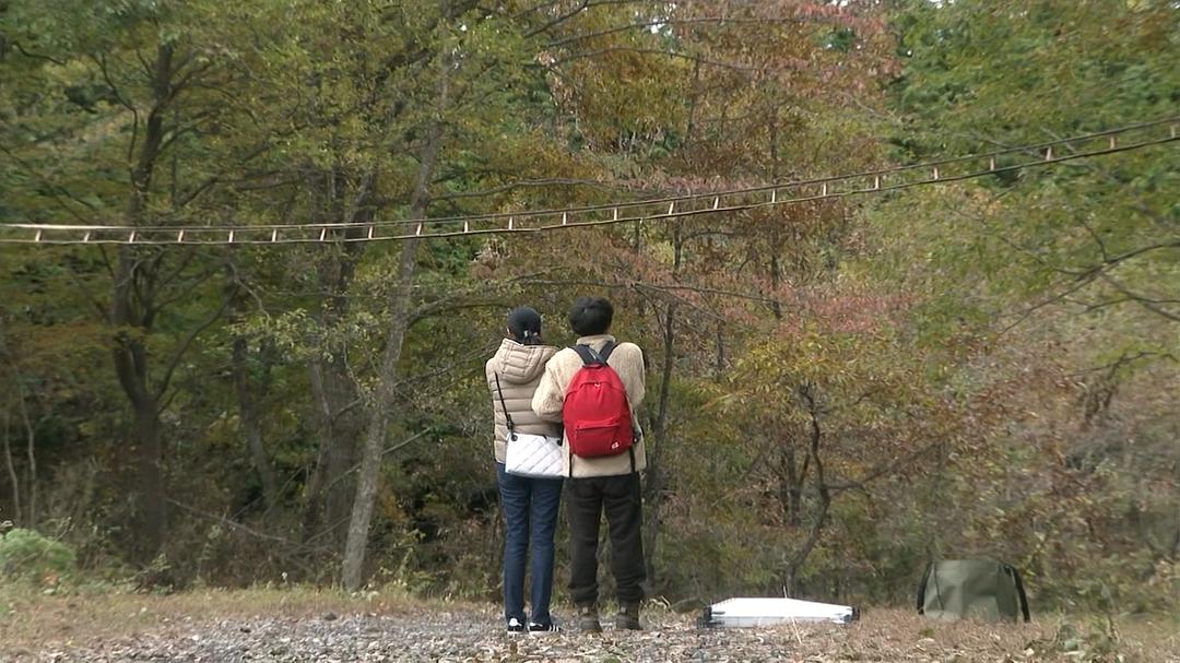 《我们由奇迹构成》海报第43张图片