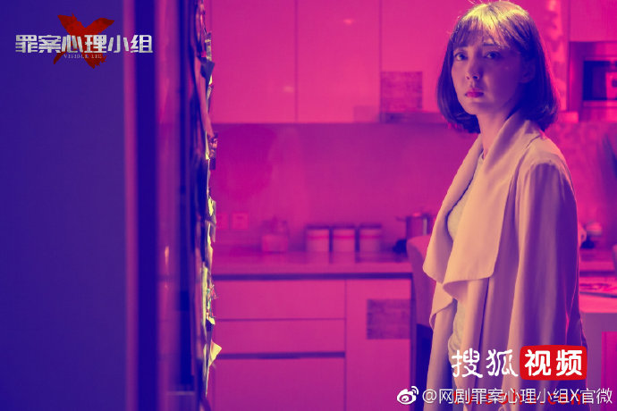 《罪案心理小组X》海报第6张图片