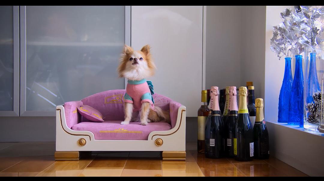 《爱犬情深第一季》剧照第27张图片