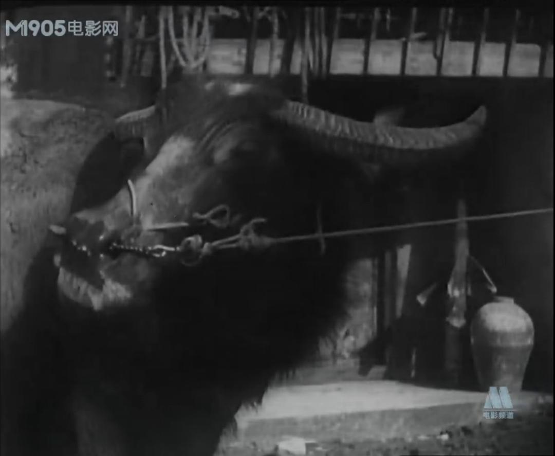 《一江春水向东流》剧照第31张图片