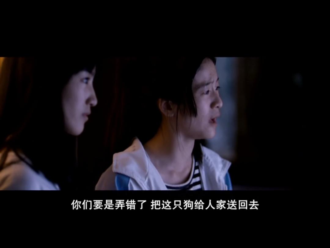 《狗十三》海报第45张图片