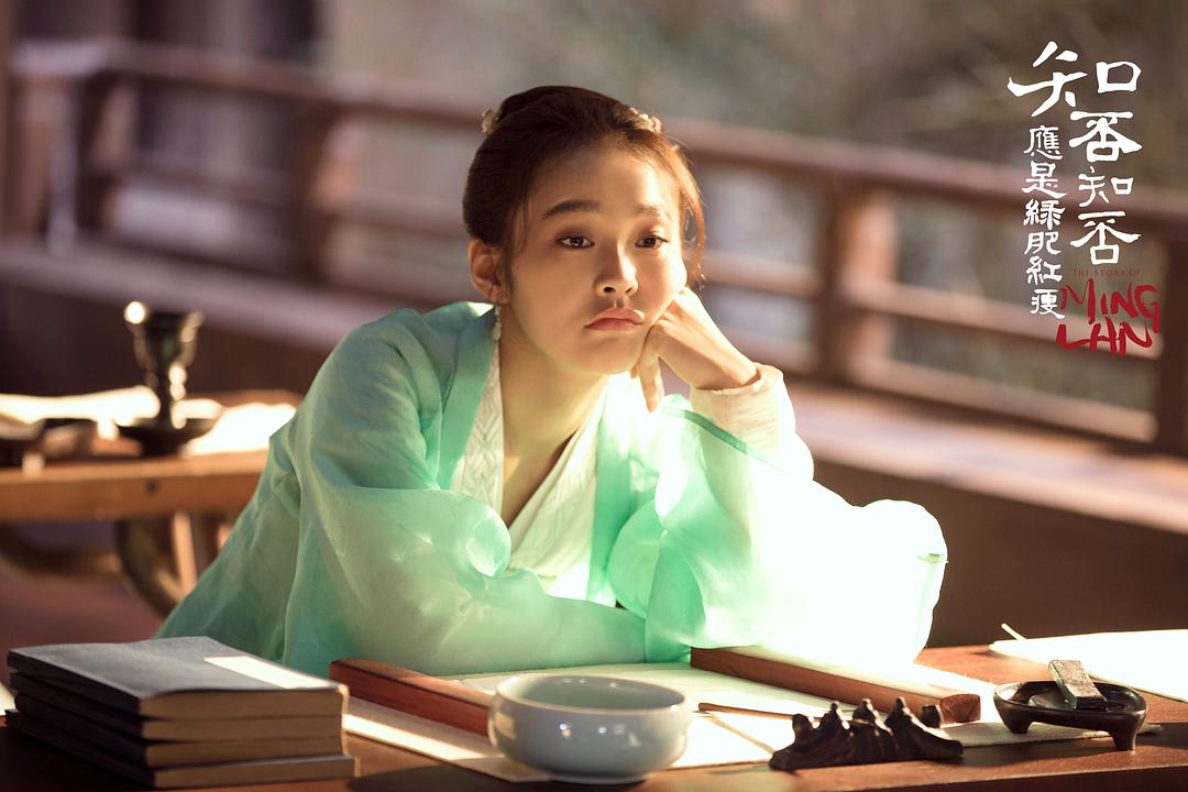 《知否知否应是绿肥红瘦》剧照第34张图片