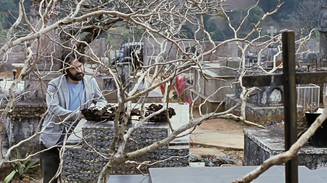 《我亲爱的甜橙树》海报第28张图片