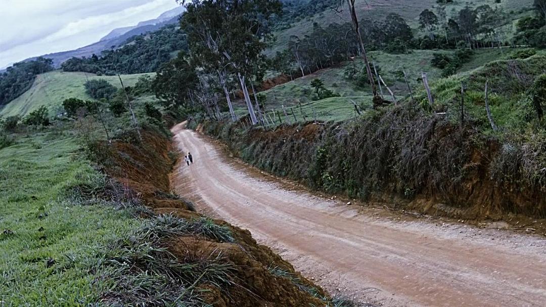 《我亲爱的甜橙树》海报第27张图片