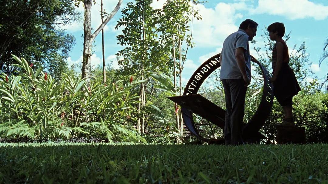 《我亲爱的甜橙树》海报第19张图片