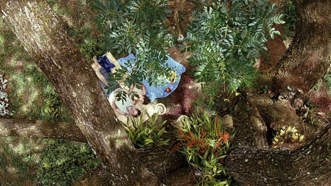 《我亲爱的甜橙树》海报第18张图片