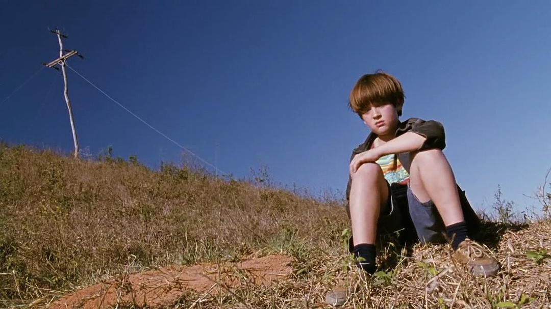 《我亲爱的甜橙树》海报第17张图片