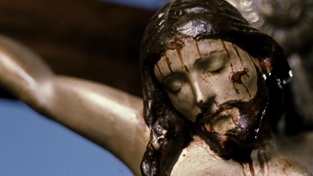 《我亲爱的甜橙树》海报第16张图片