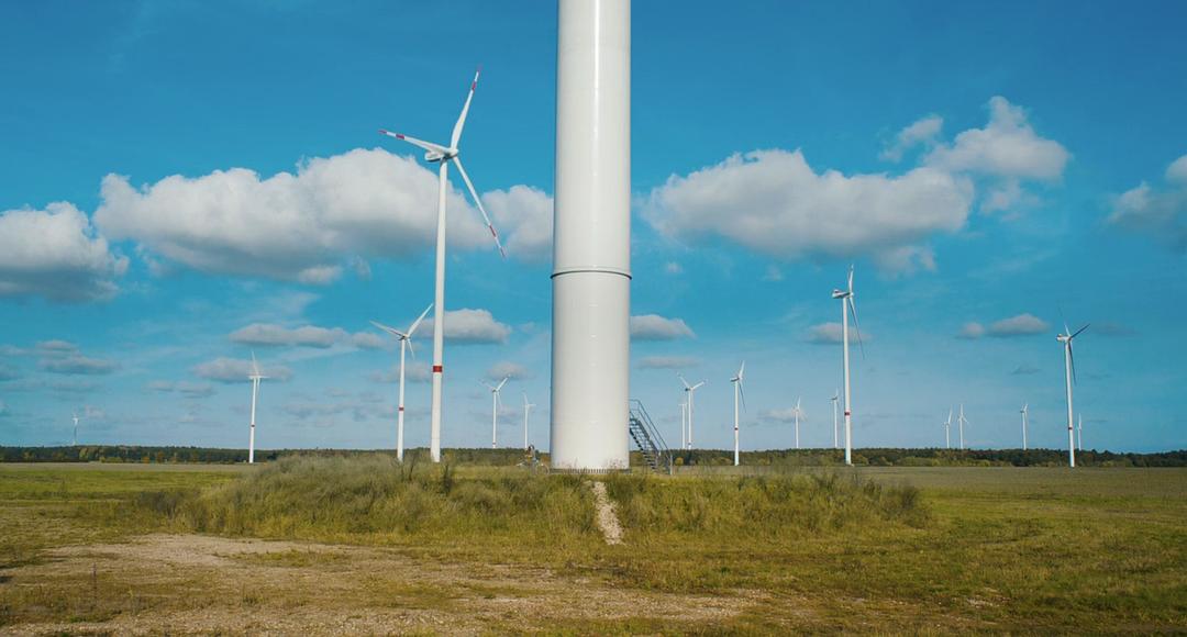 《契克》海报第9张图片