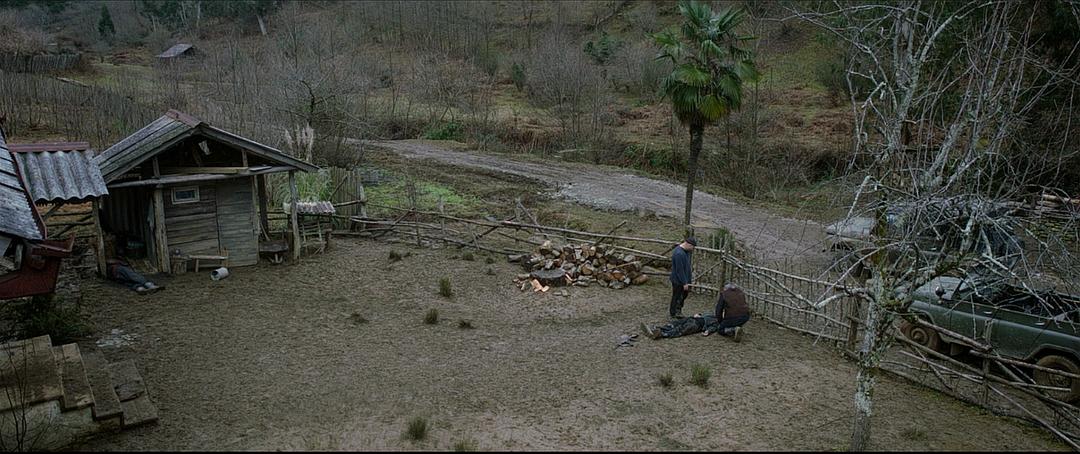 《金橘》海报第29张图片