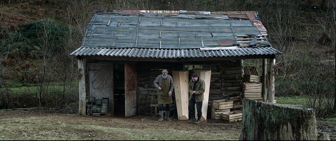 《金橘》海报第28张图片