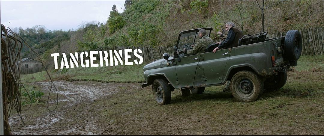 《金橘》海报第14张图片