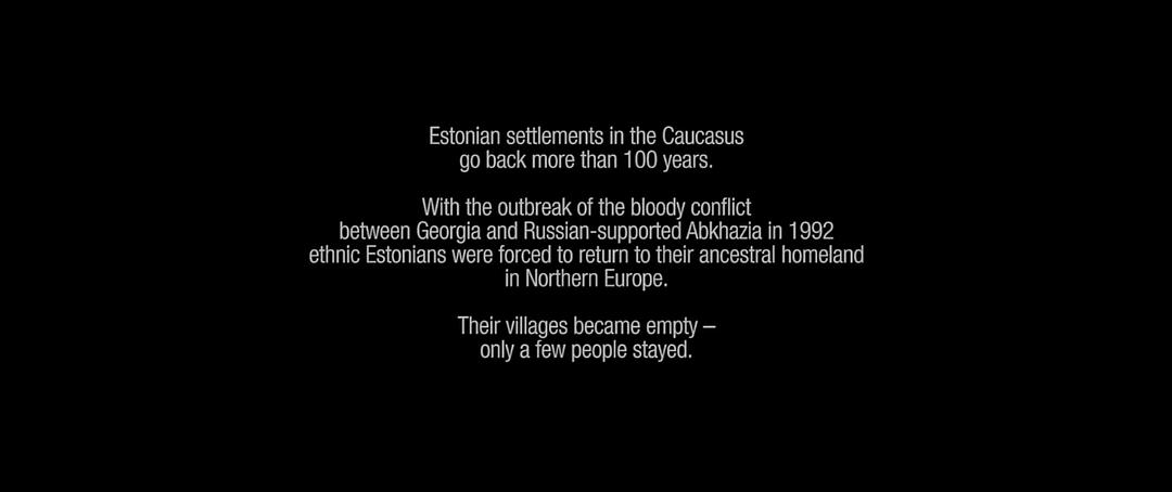 《金橘》海报第13张图片