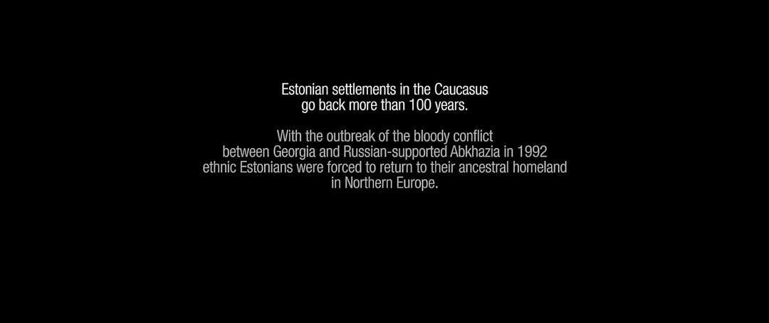 《金橘》海报第12张图片