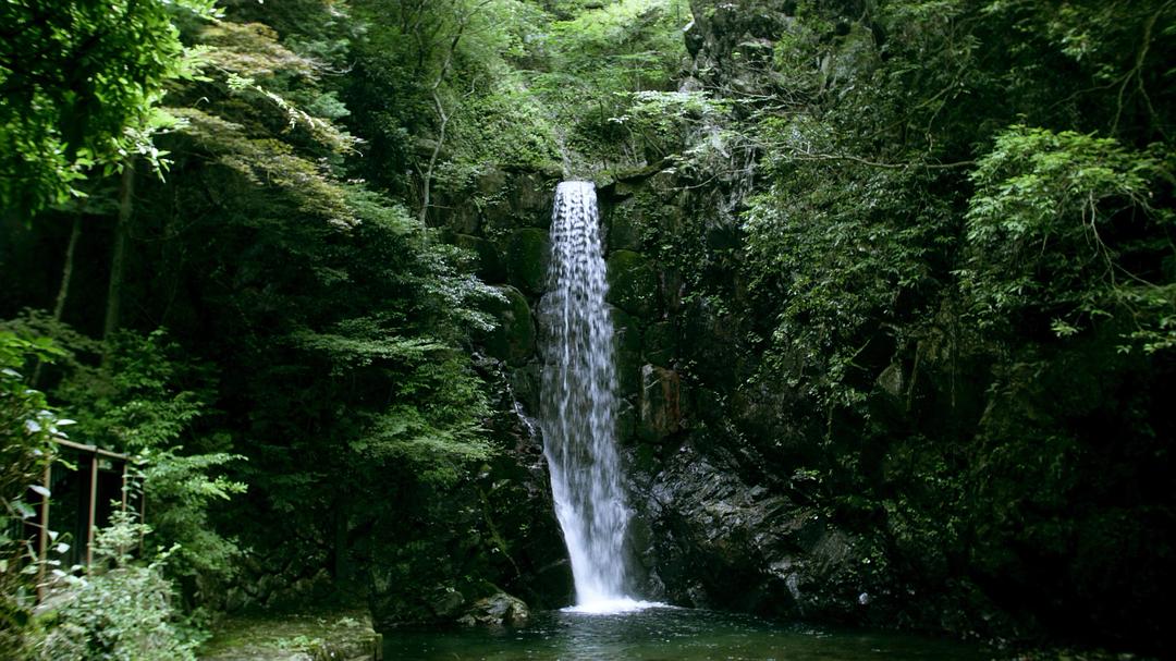 《欢乐时光》剧照第53张图片