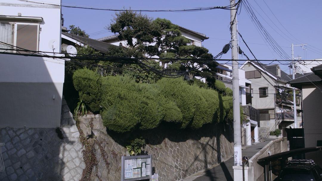 《欢乐时光》剧照第17张图片