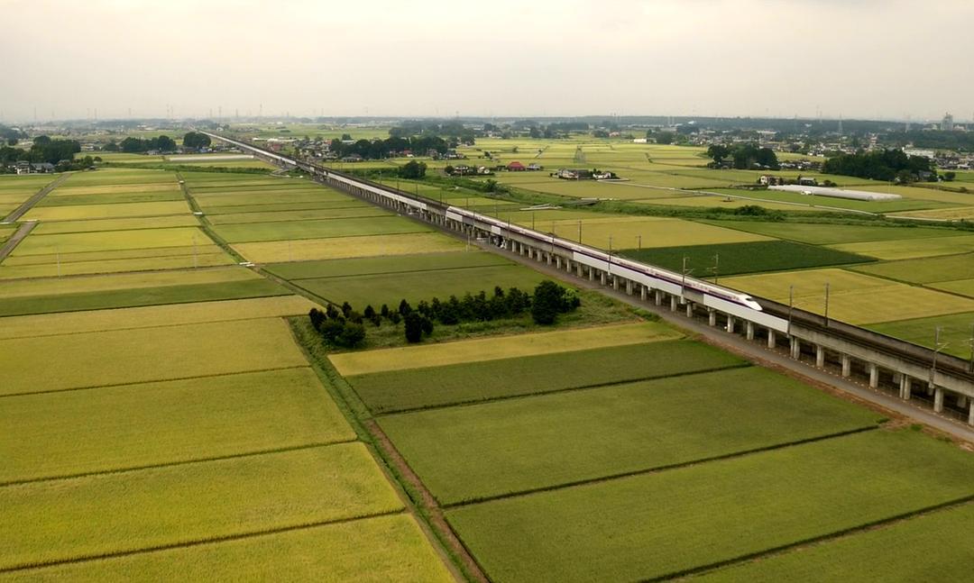 《祈祷落幕时》剧照第42张图片