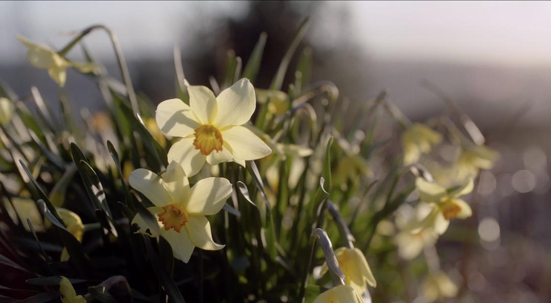 《上帝之国》剧照第32张图片