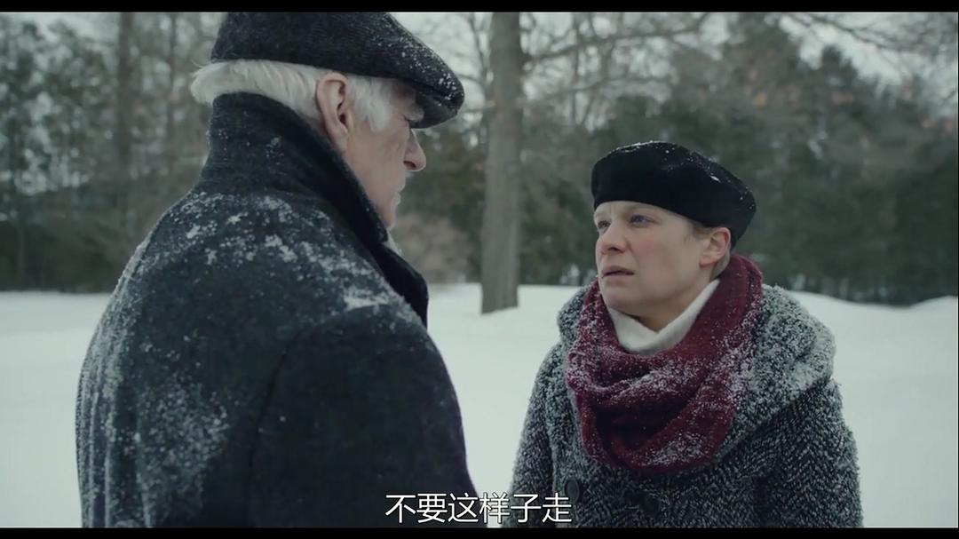 《老人日记》海报第11张图片