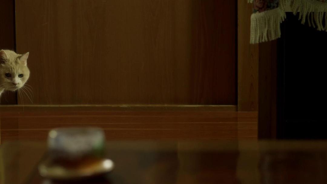 《老公进不来》海报第32张图片