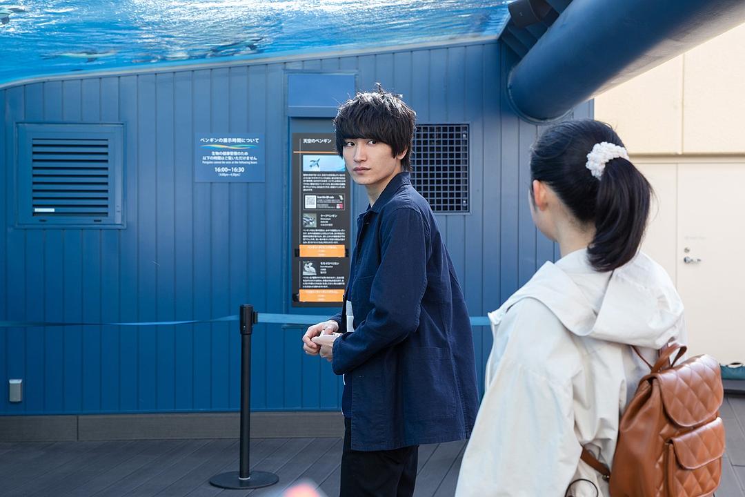 《腐女无意间跟Gay告白》剧照第30张图片