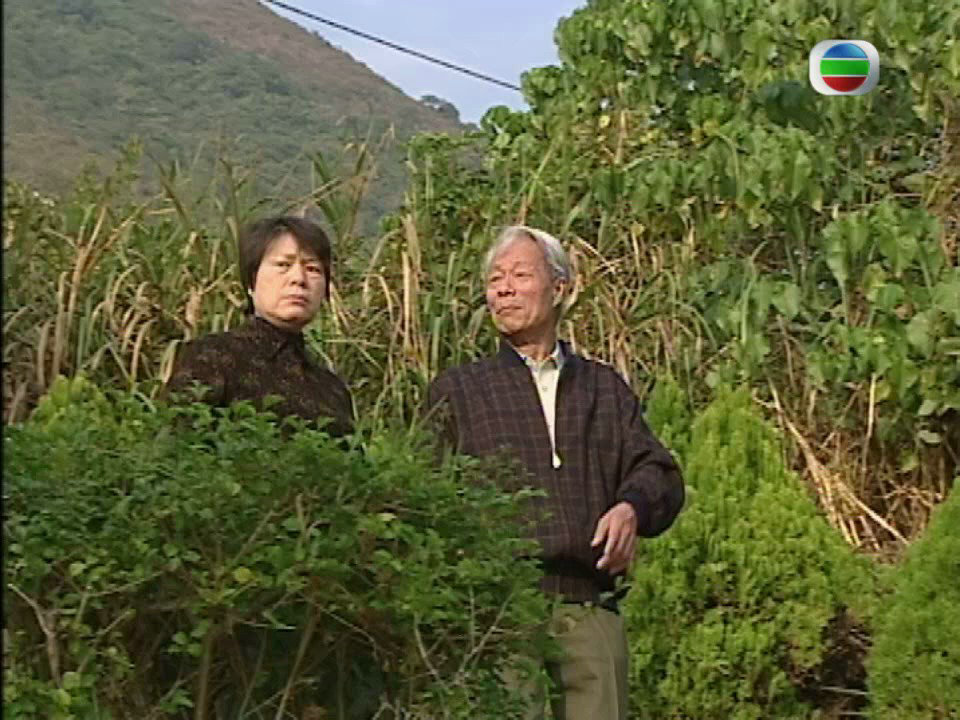 《翻新大少》海报第51张图片