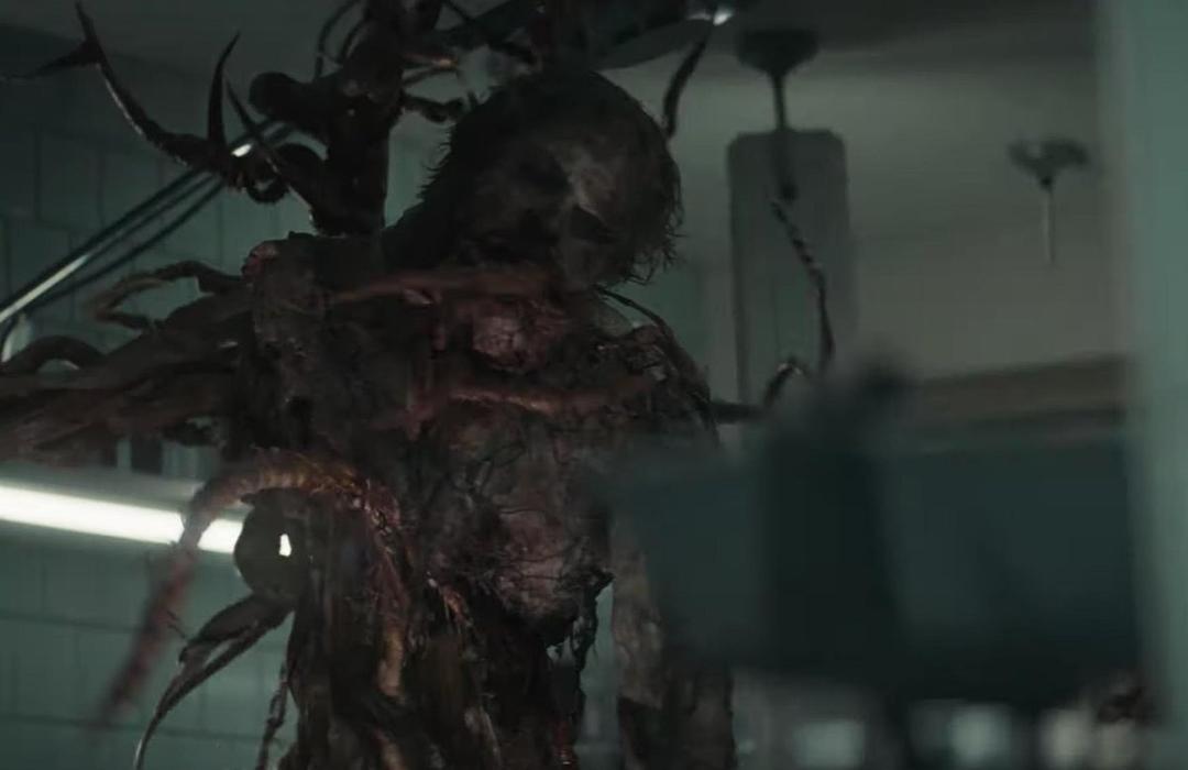 《沼泽怪物》剧照第51张图片