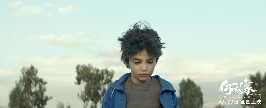 《何以为家》剧照第16张图片