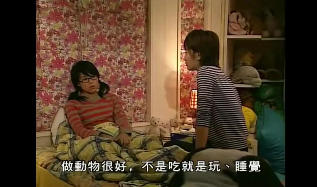 《情迷黑森林》海报第29张图片