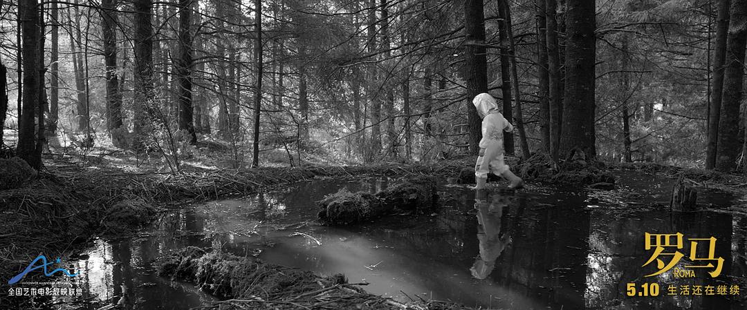 《罗马》剧照第38张图片