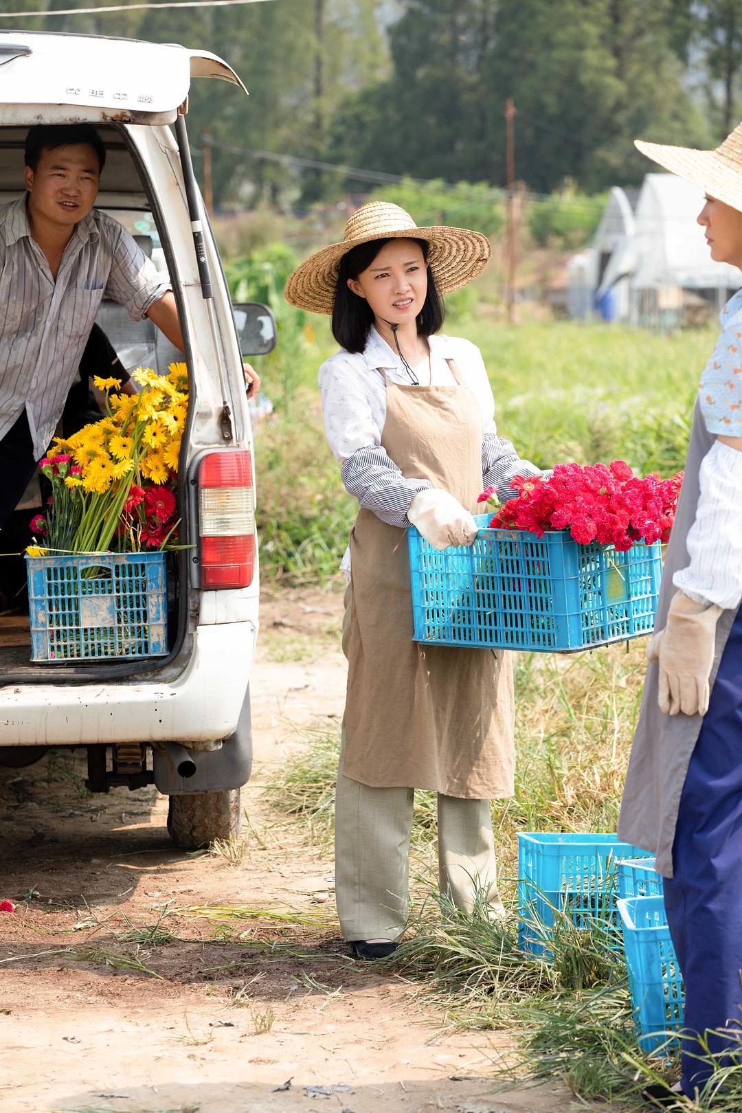 《麦香》剧照第33张图片