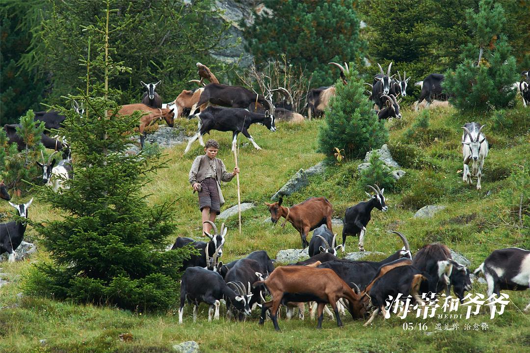 《海蒂和爷爷》剧照第29张图片