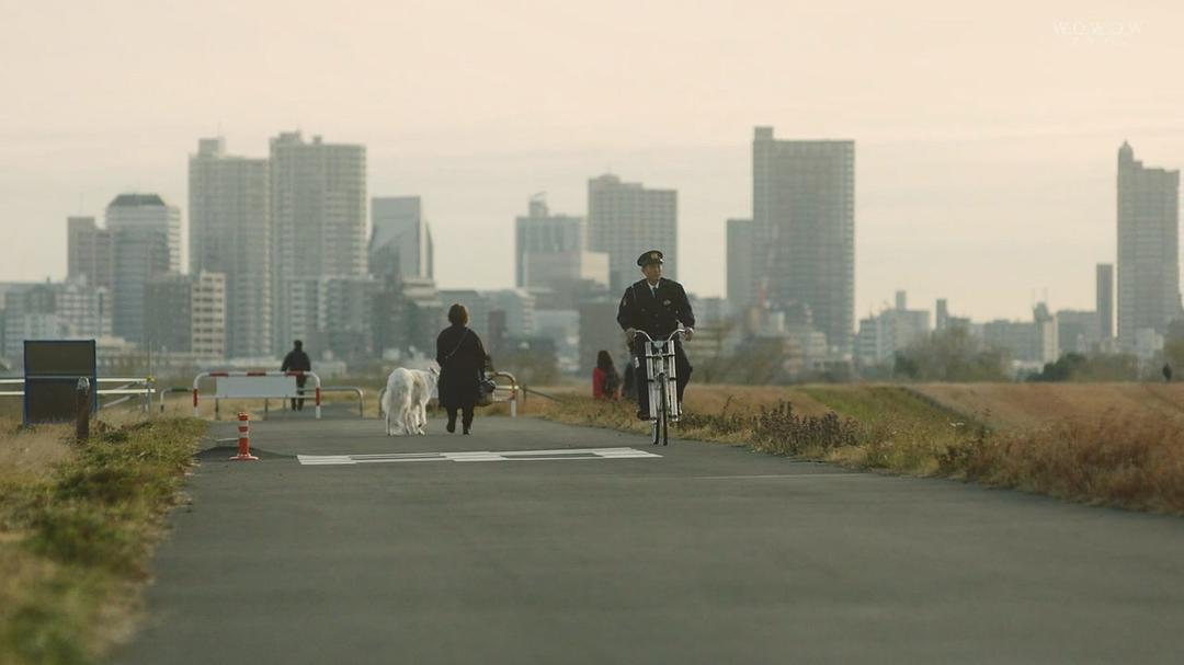 《绝叫》剧照第21张图片