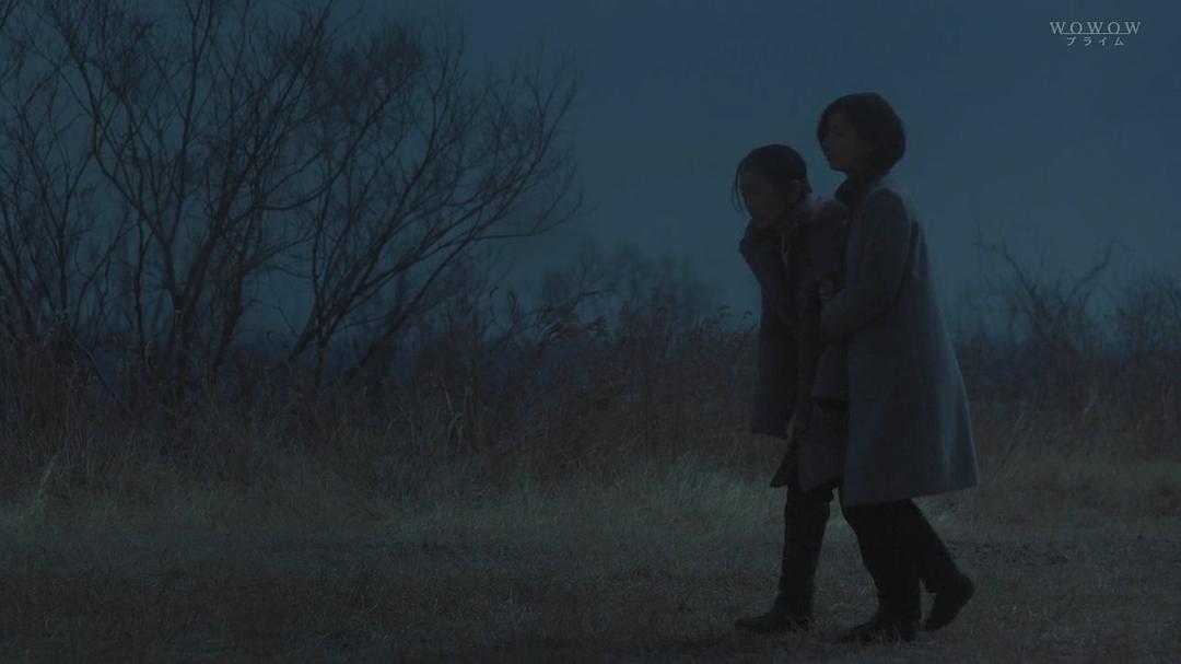 《绝叫》剧照第55张图片