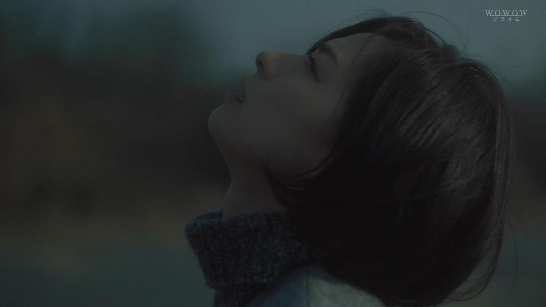 《绝叫》剧照第42张图片