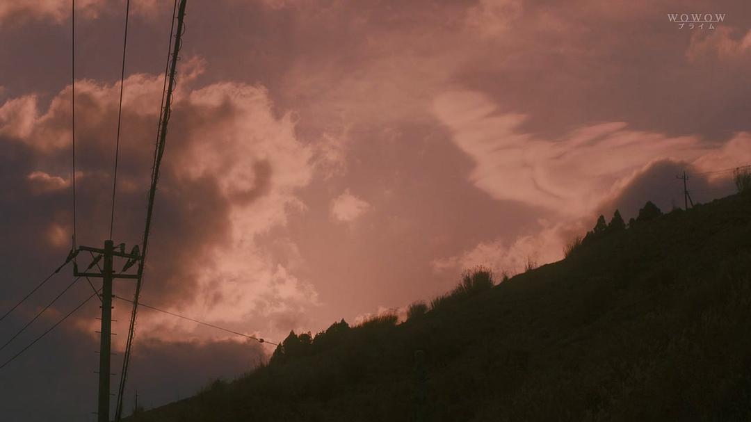 《绝叫》剧照第39张图片